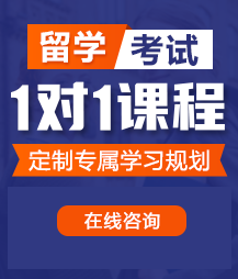 大男人搞鸡网站留学考试一对一精品课